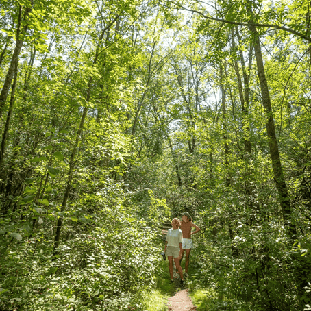 Hikers in a forest 