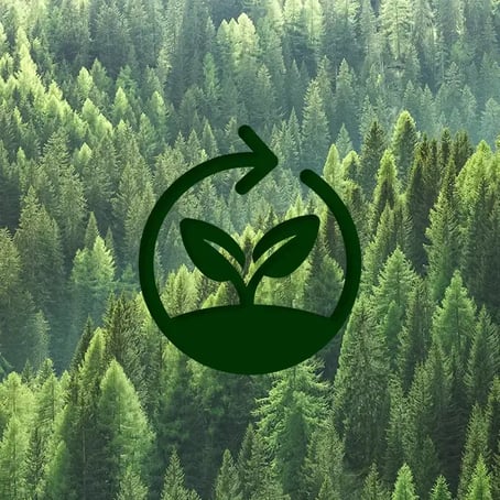 Accent sustainability graphic