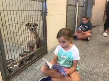 project apollo - child reading to dog 2