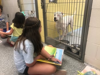 project apollo - child reading to dog1