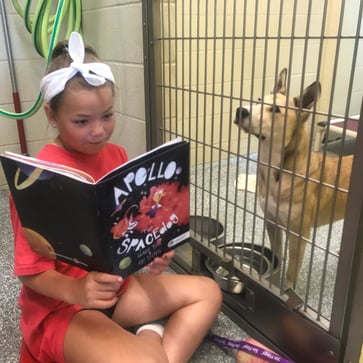 project apollo - child reading to dog 3